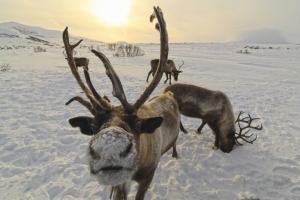 Russland | Kamtschatka - Zu Gast bei Väterchen Frost zwischen Vulkanen und heißen Quellen